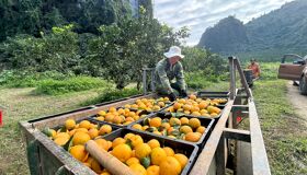 Capture the authentic charm of Vietnam’s cultural scene
